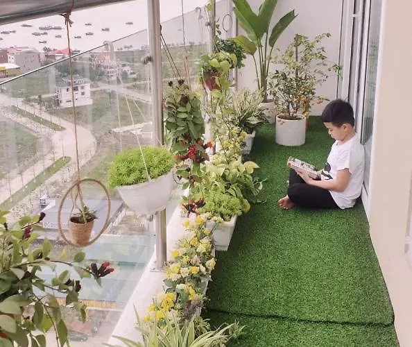 Greenhouse Homestay * Ha Long