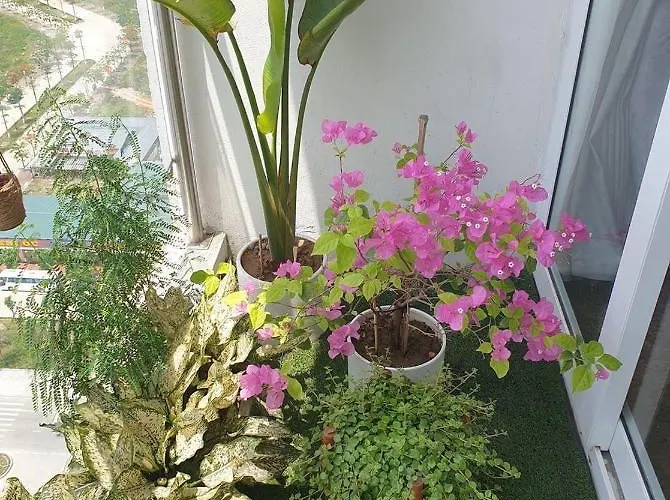 Greenhouse Homestay